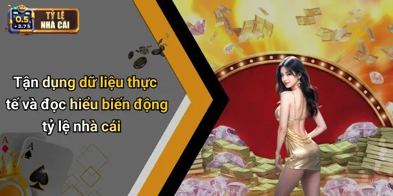 Tận dụng dữ liệu thực tế và đọc hiểu biến động tỷ lệ nhà cái
