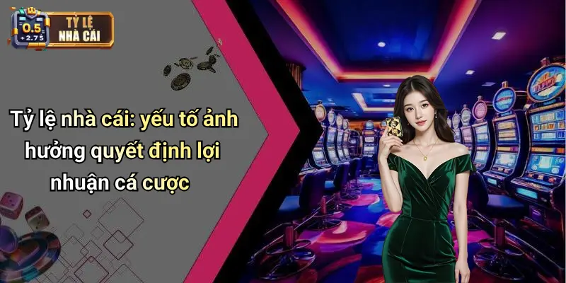 điều khoản nhà cái 2 Tỷ lệ nhà cái: yếu tố ảnh hưởng quyết định lợi nhuận cá cược