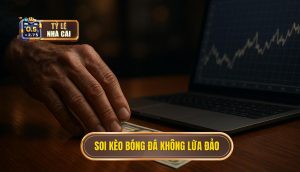 thumb - soi kèo bóng đá không lừa đảo